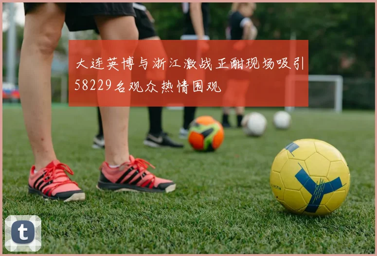 大连英博与浙江激战正酣现场吸引58229名观众热情围观